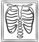 treatment option